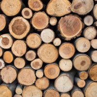 A stack of logs of varying sizes made of wood