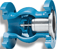 Check Valves
