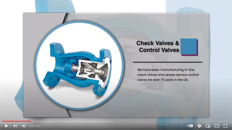 World-Class Manufacturer of Check Valves and Control Valves