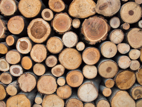  DFT Wood logs