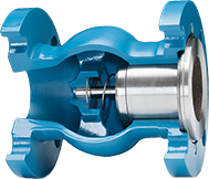 Check Valves